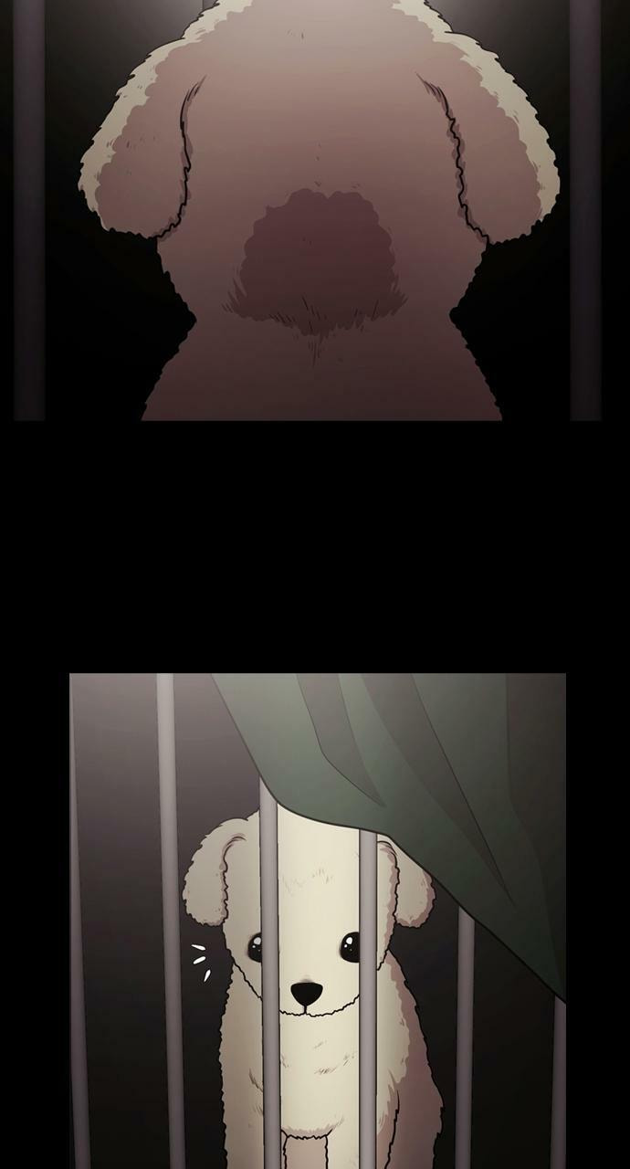 Read Tomorrow (Llama) chapter 90 image 19 on Lezhin