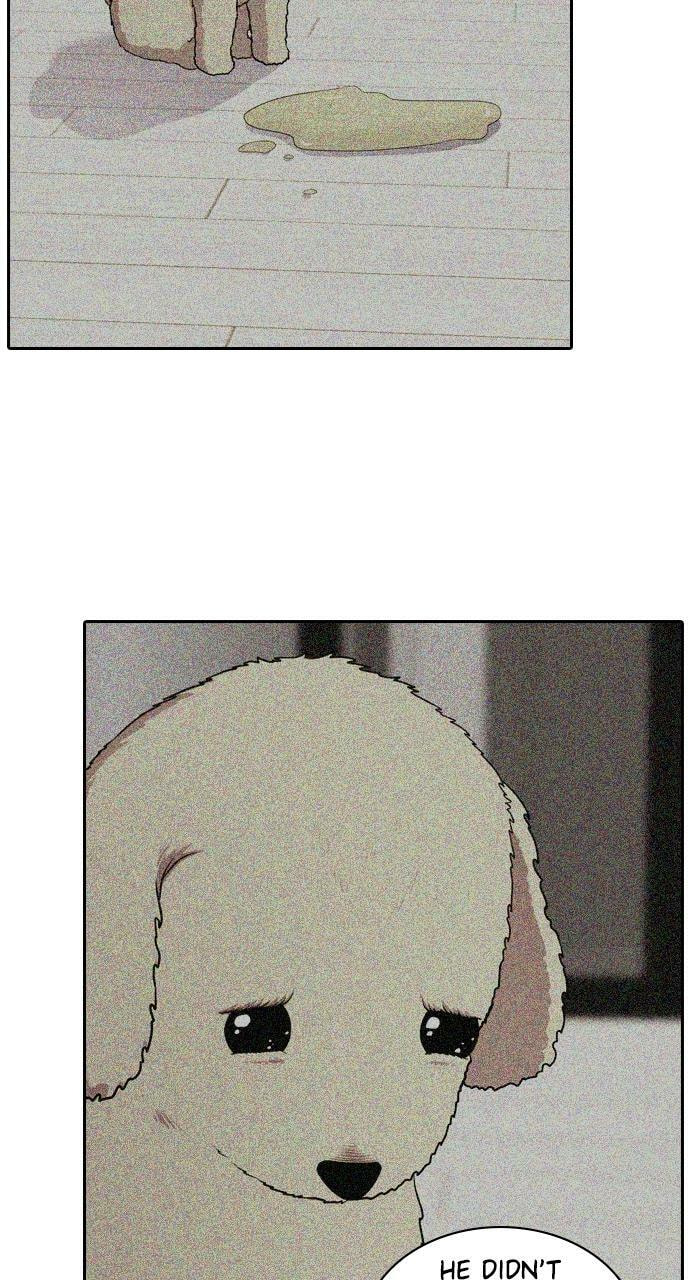 Read Tomorrow (Llama) chapter 93 image 37 on Lezhin