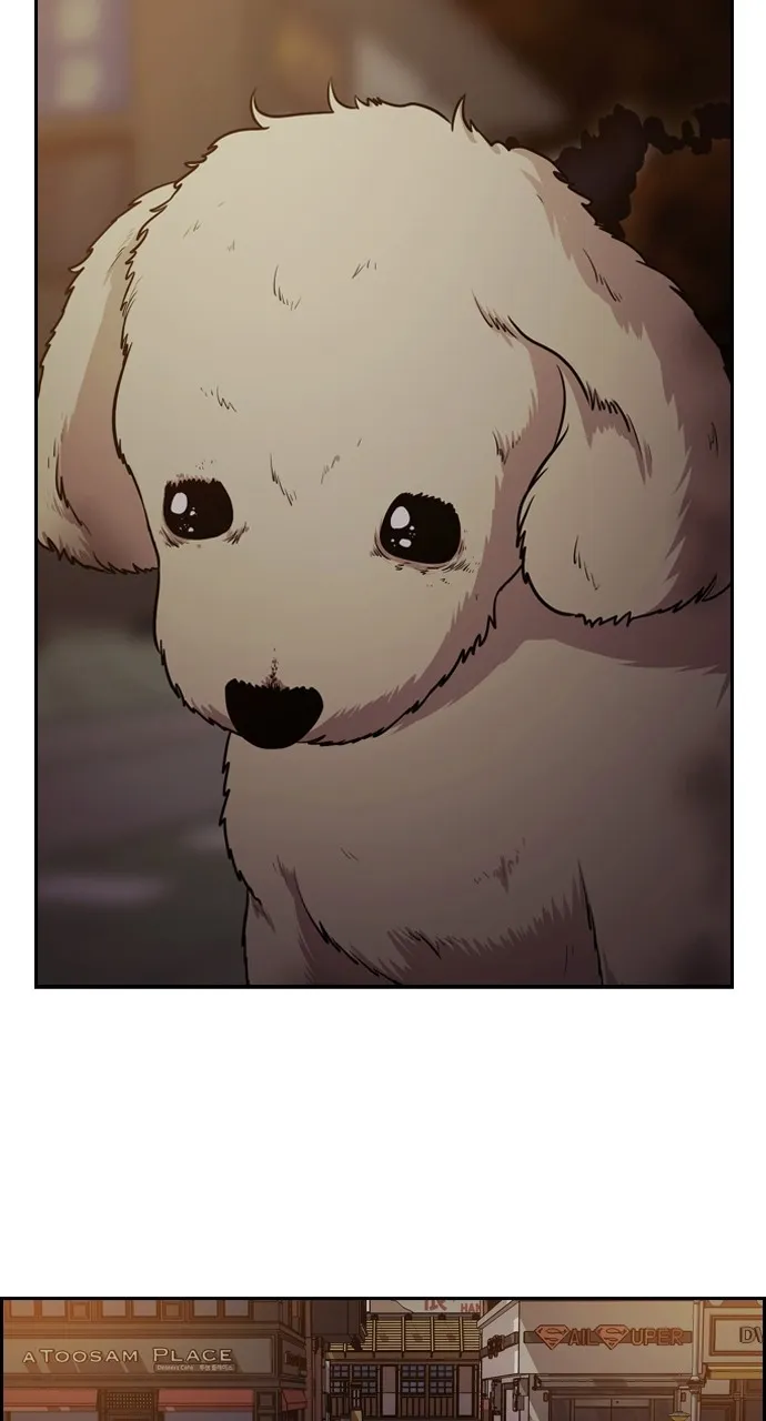 Read Tomorrow chapter 86 image 112 on Lezhin