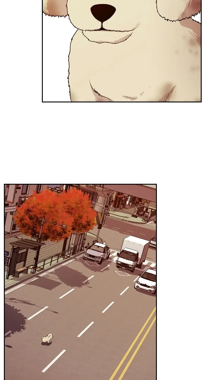 Read Tomorrow chapter 87 image 22 on Lezhin