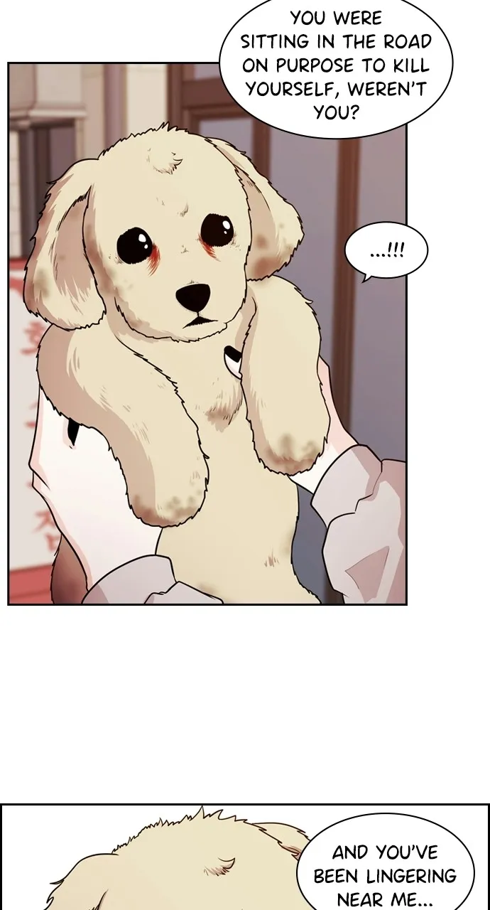 Read Tomorrow chapter 87 image 55 on Lezhin