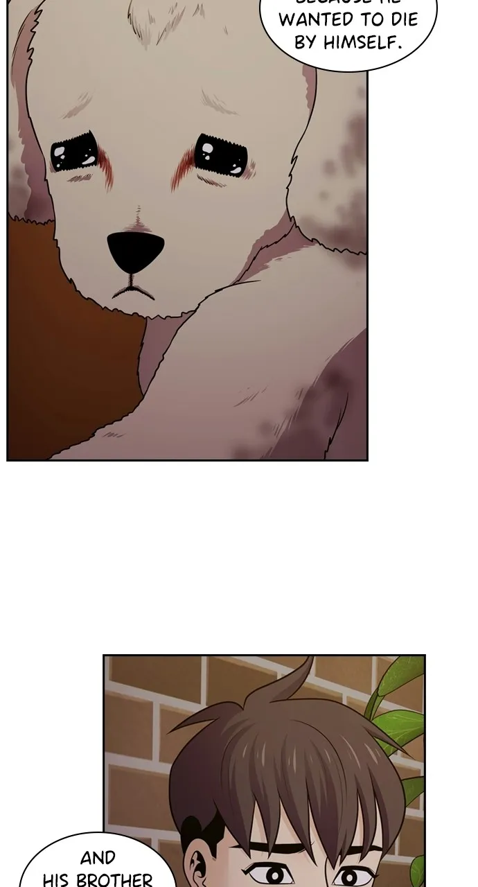 Read Tomorrow chapter 88 image 39 on Lezhin