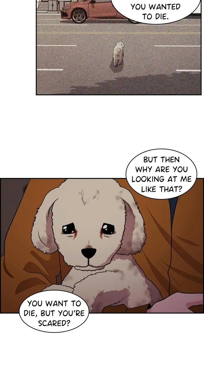 Read Tomorrow chapter 88 image 49 on Lezhin
