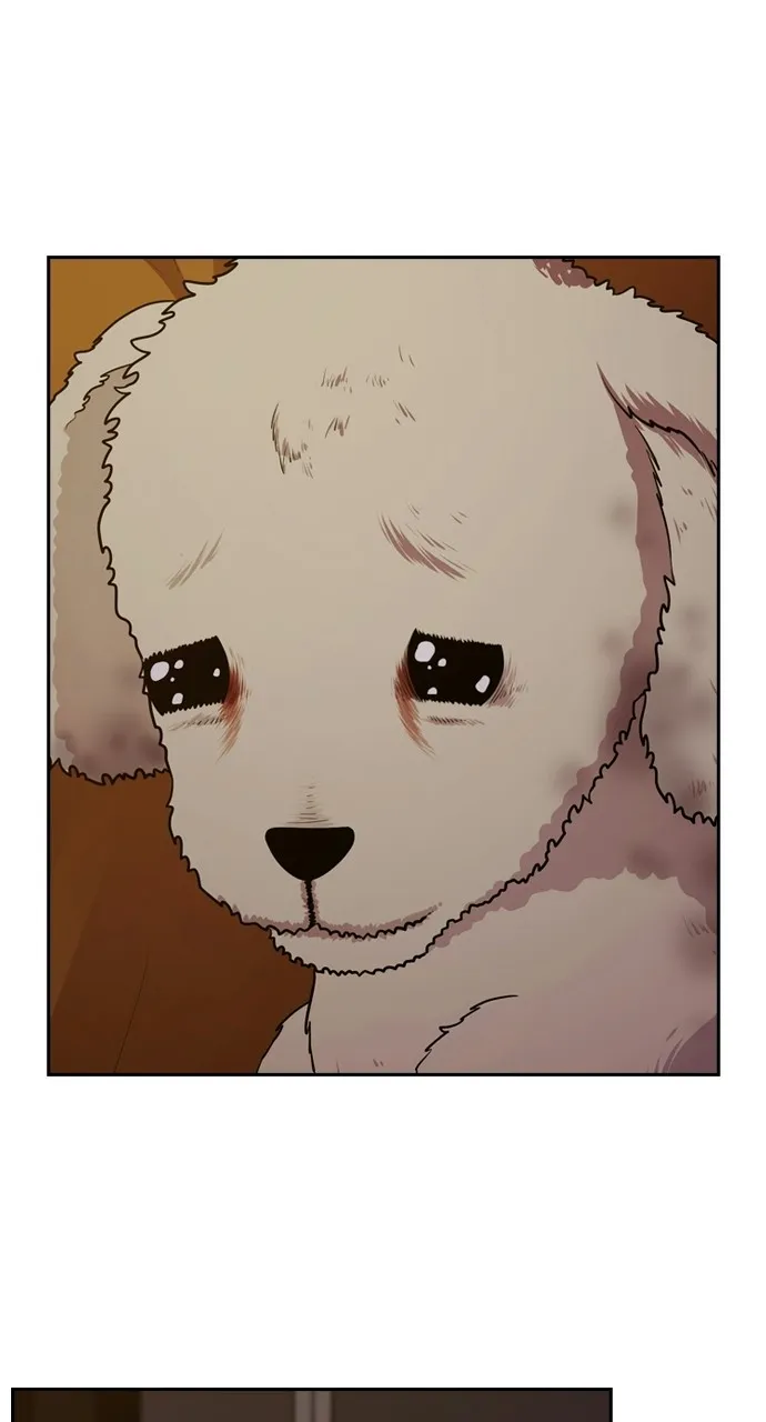 Read Tomorrow chapter 88 image 51 on Lezhin