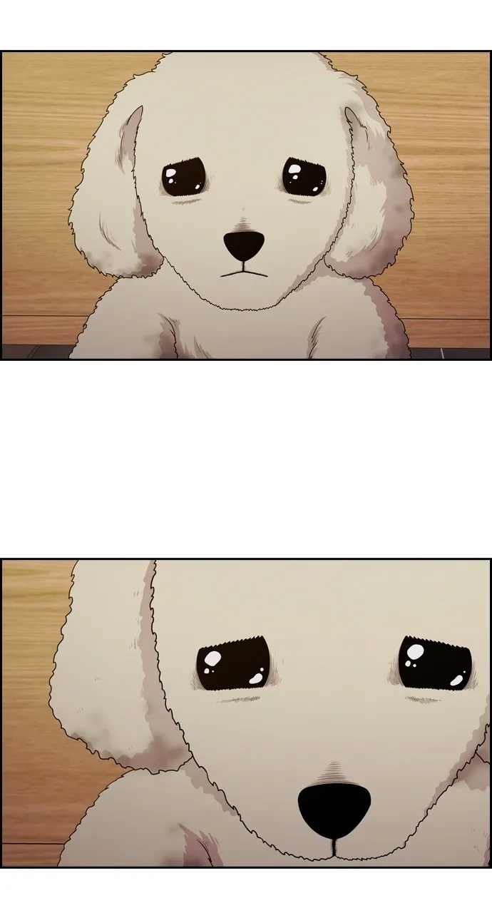 Read Tomorrow chapter 90 image 2 on Lezhin