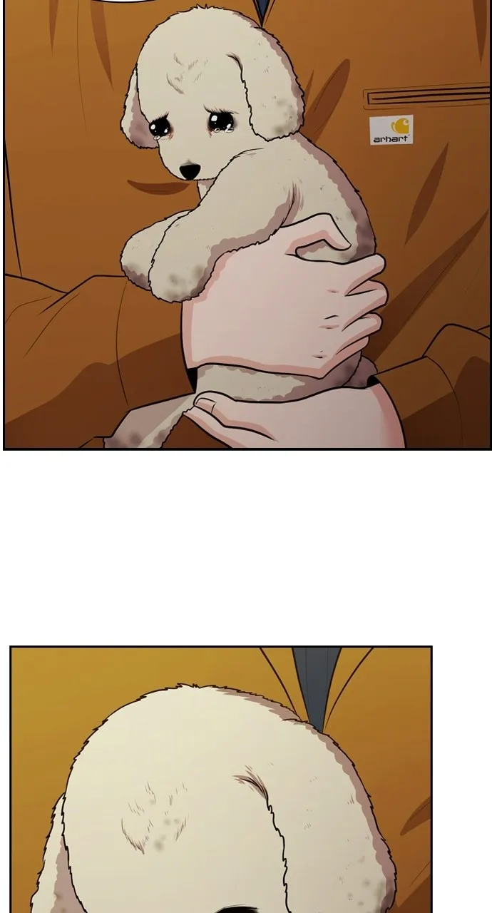 Read Tomorrow chapter 92 image 45 on Lezhin