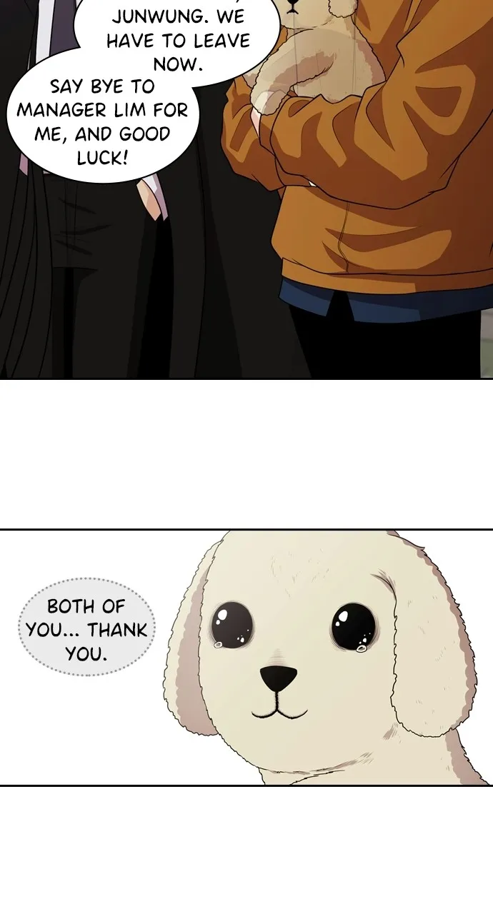 Read Tomorrow chapter 95 image 11 on Lezhin