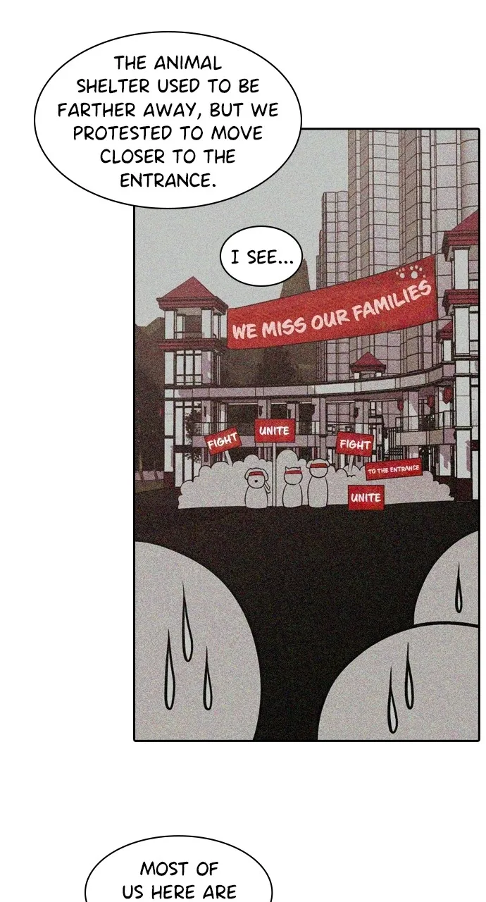 Read Tomorrow chapter 95 image 59 on Lezhin