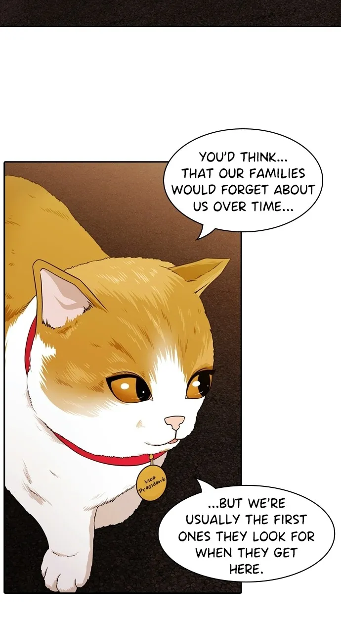 Read Tomorrow chapter 95 image 62 on Lezhin