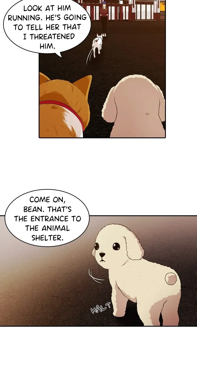 Read Tomorrow chapter 95 image 66 on Lezhin