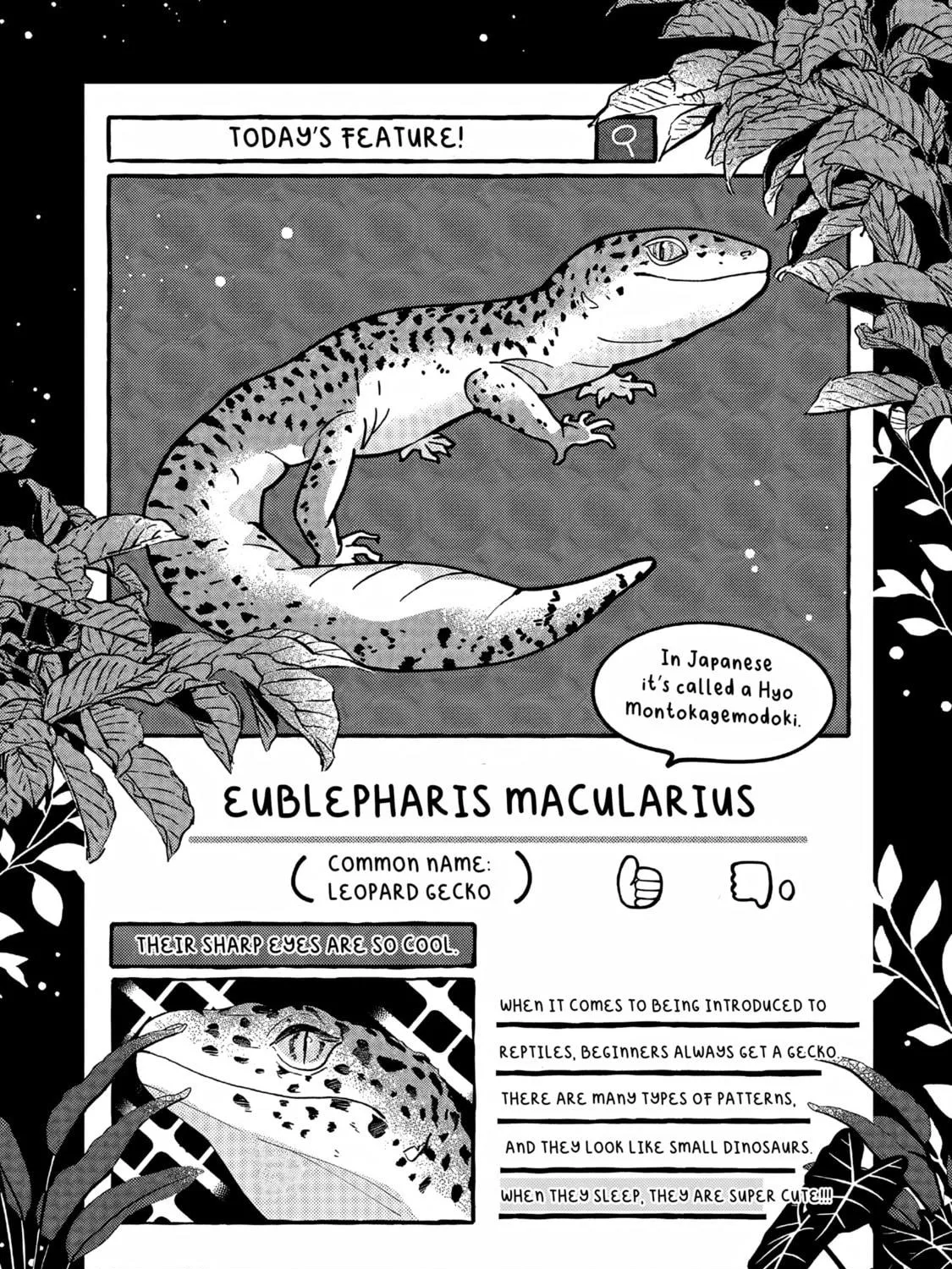 Read Tonari no Hachuurui-kun chapter 2 image 46 on Lezhin