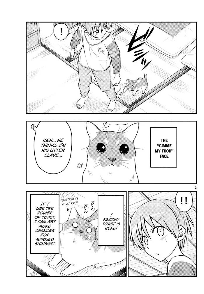 Read Tonikaku Kawaii chapter 53 image 2 on Lezhin