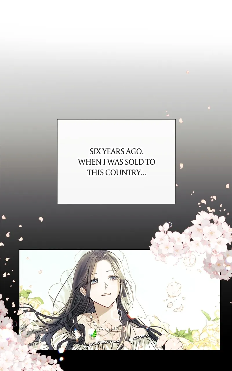 Read Too Late for Regrets chapter 1 image 13 on Lezhin