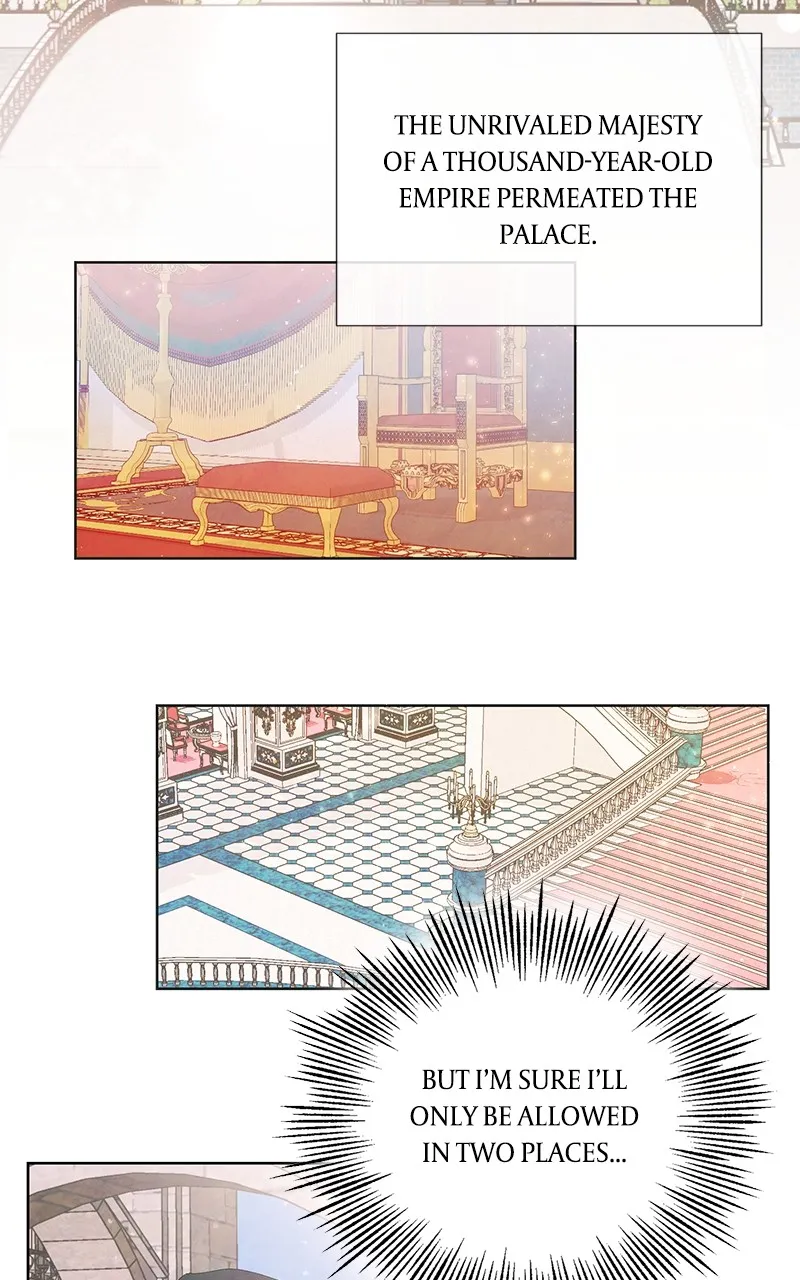 Read Too Late for Regrets chapter 3 image 55 on Lezhin