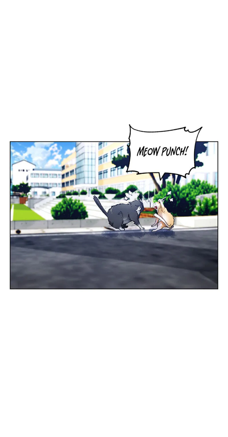 Read Top Corner chapter 151 image 56 on Lezhin