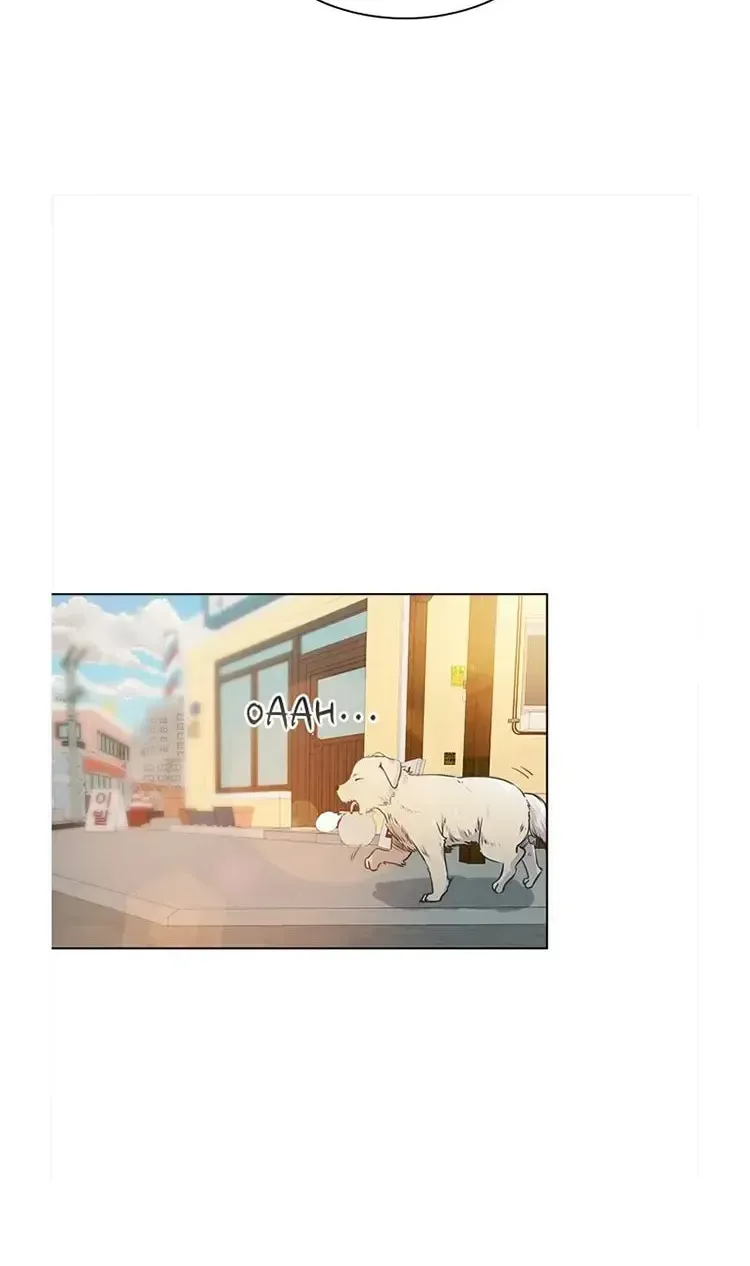 Read Top Corner chapter 6.2 image 17 on Lezhin