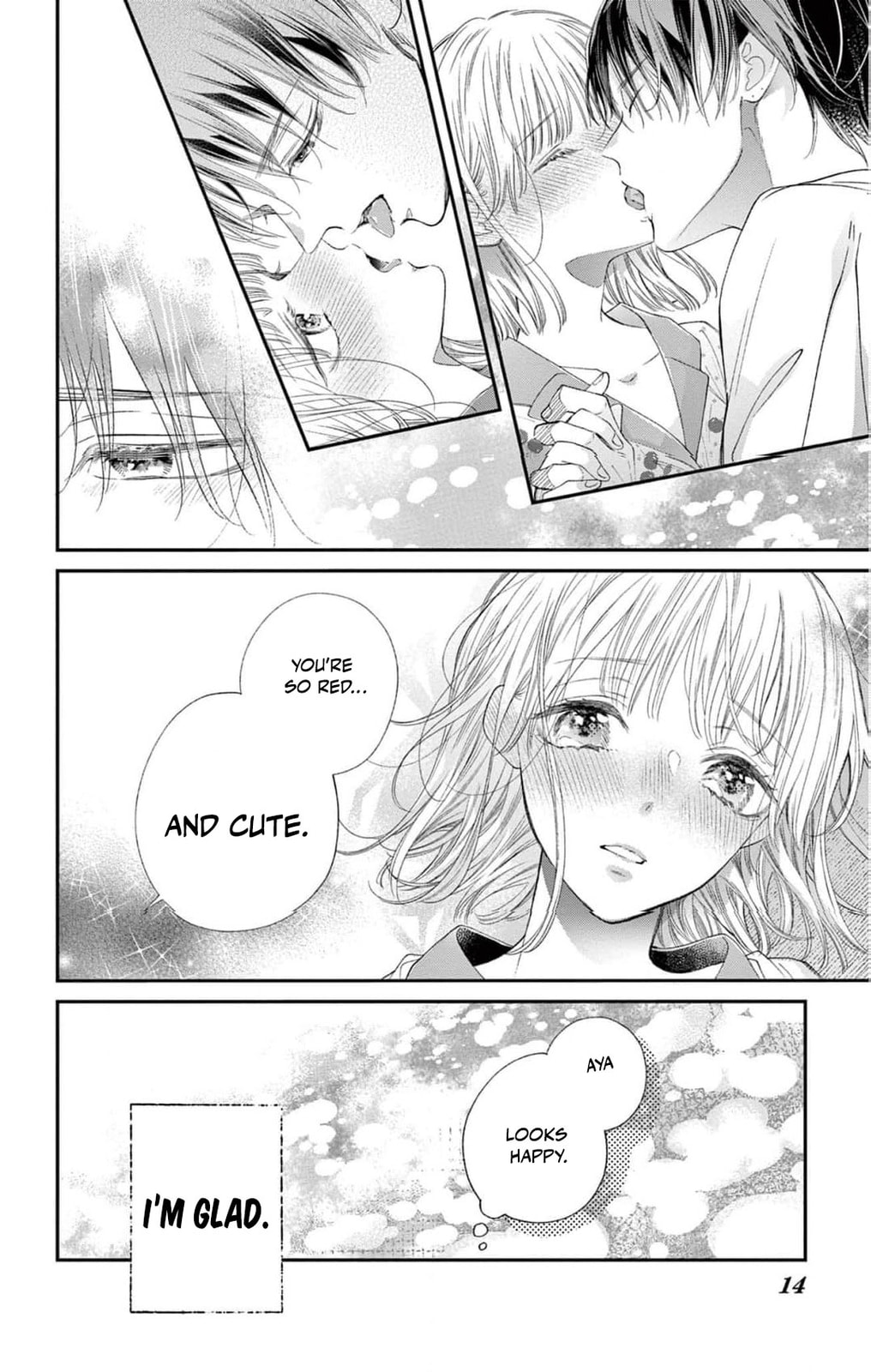 Tora-Ou no Hanayome-san Chapter 12 page 15 - 