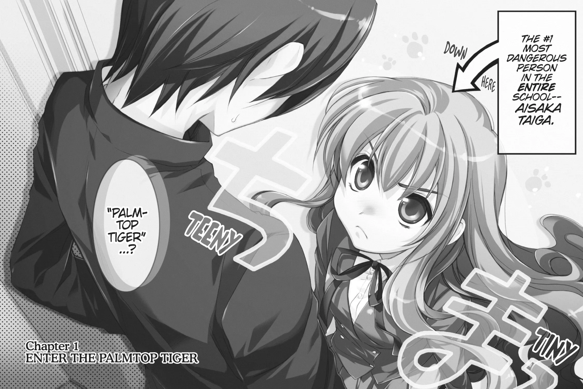 Read Toradora! chapter 1 image 2 on Lezhin