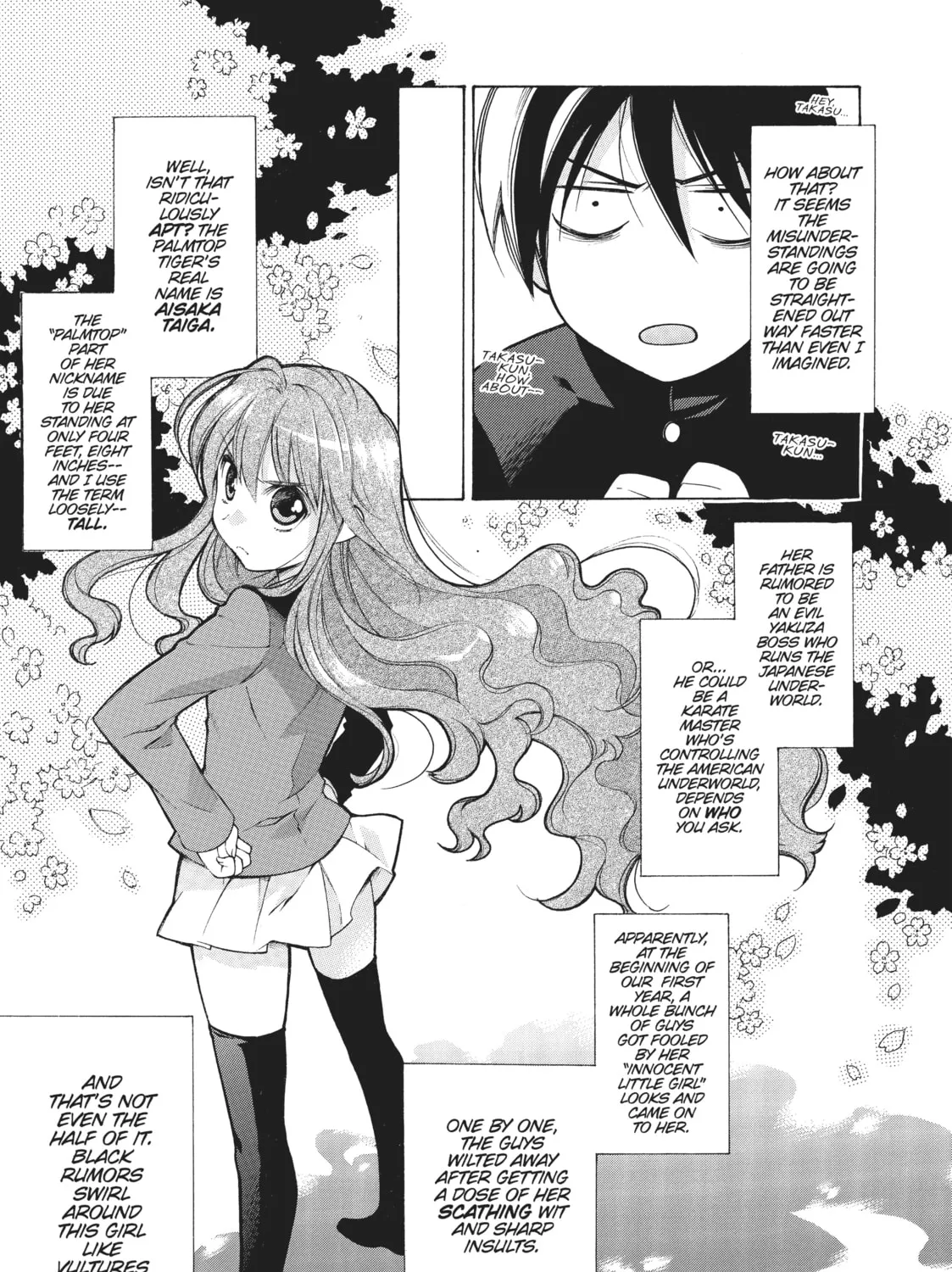 Read Toradora! chapter 1 image 60 on Lezhin