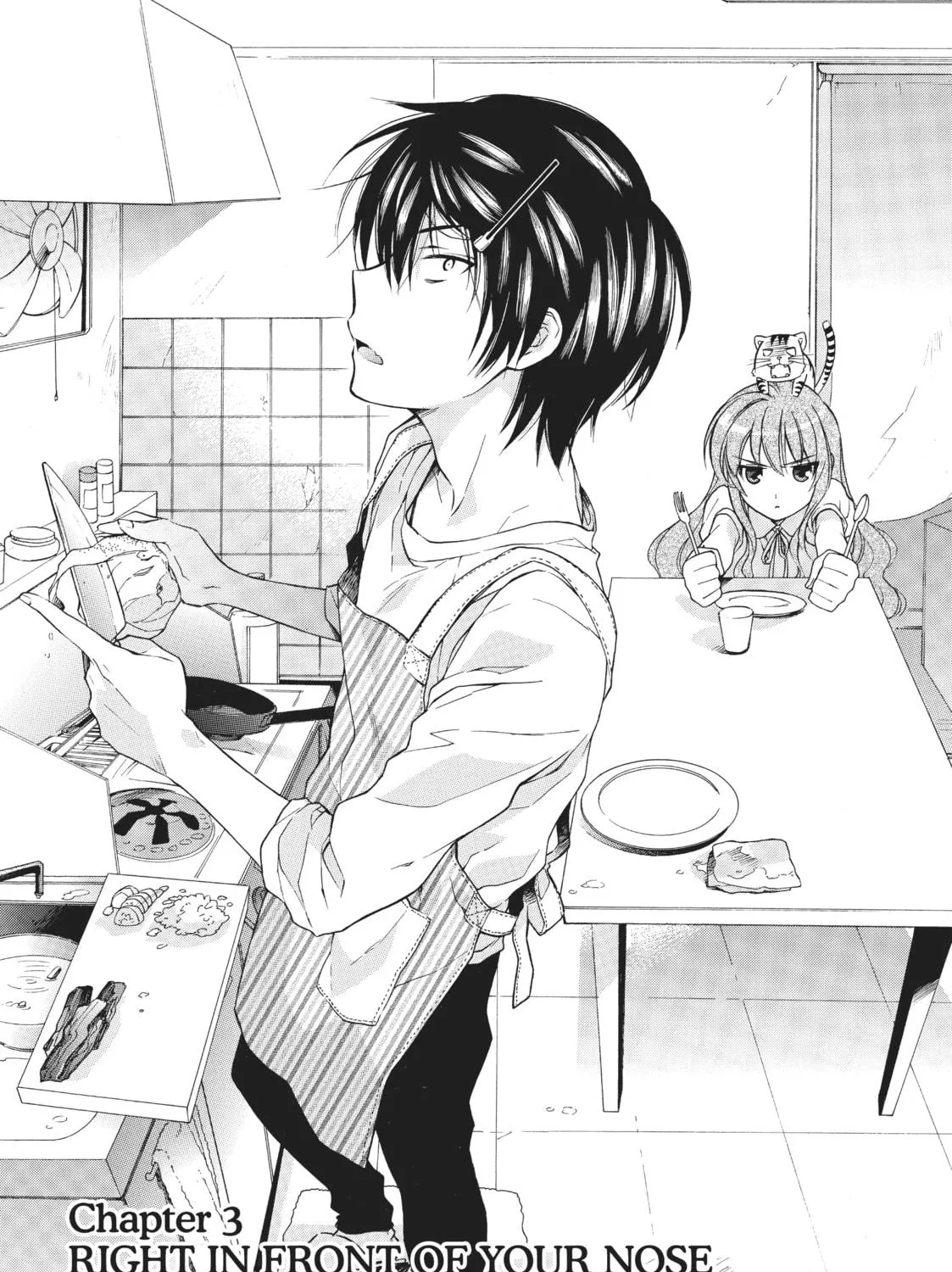 Read Toradora! chapter 3 image 4 on Lezhin