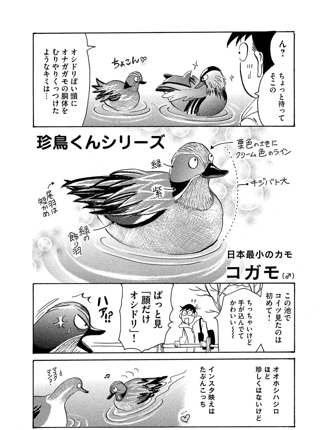 Read Toripan chapter 621 image 6 on Lezhin