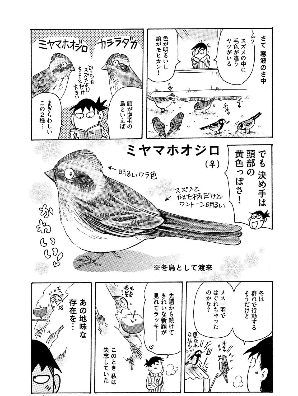 Read Toripan chapter 622 image 6 on Lezhin