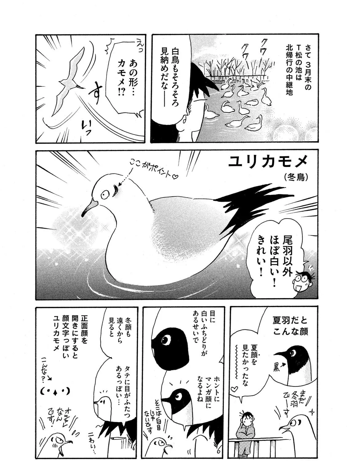Read Toripan chapter 632 image 6 on Lezhin
