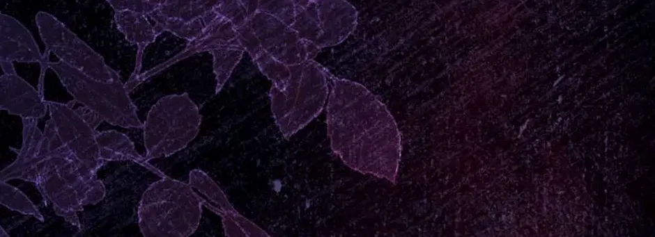 Torn Between Alphas Chapter 45 page 81 - 