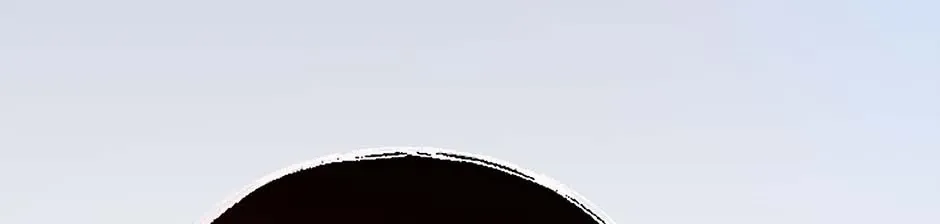 Torn Between Alphas Chapter 59 page 47 - 