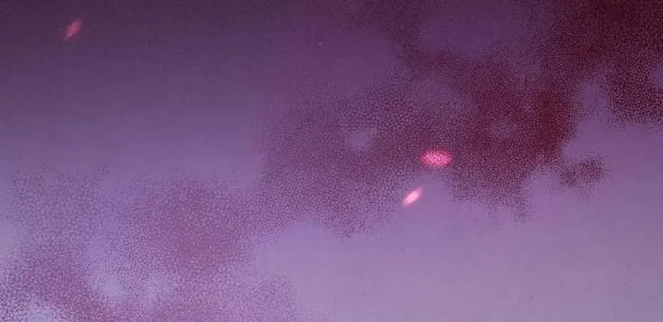 Torn Between Alphas Chapter 63 page 65 - 
