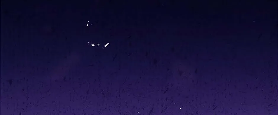 Torn Between Alphas Chapter 69 page 4 - 