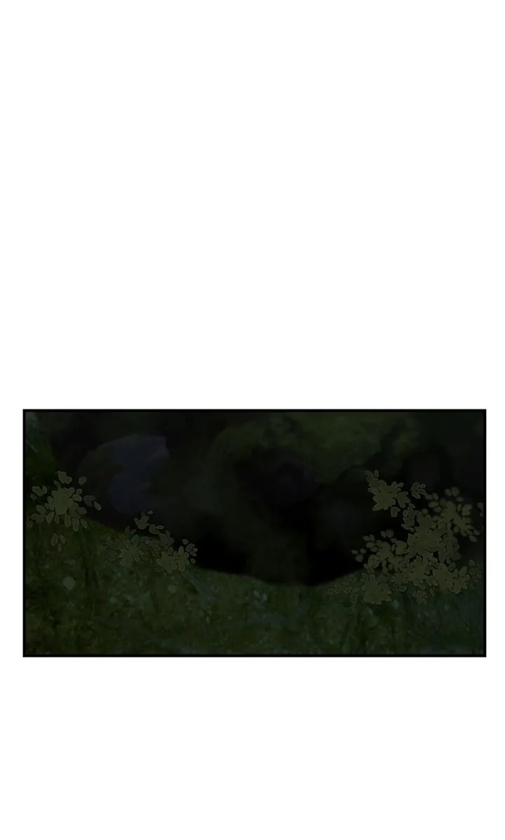 Read Totem