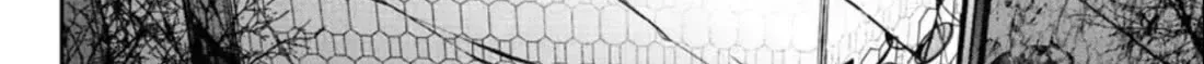 Read Tougen Anki chapter 156.2 image 15 on Lezhin
