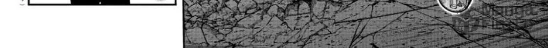 Read Tougen Anki chapter 183 image 5 on Lezhin