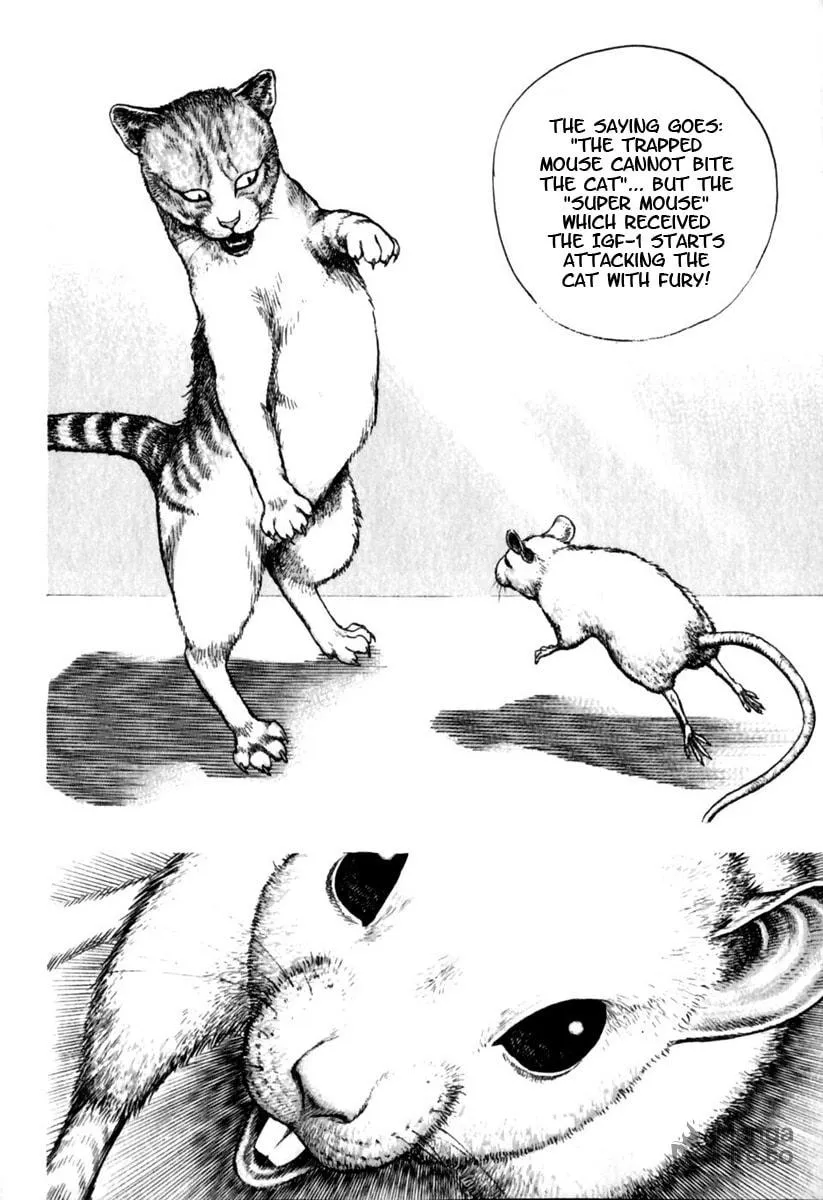 Read TOUGH chapter 153 image 4 on Lezhin