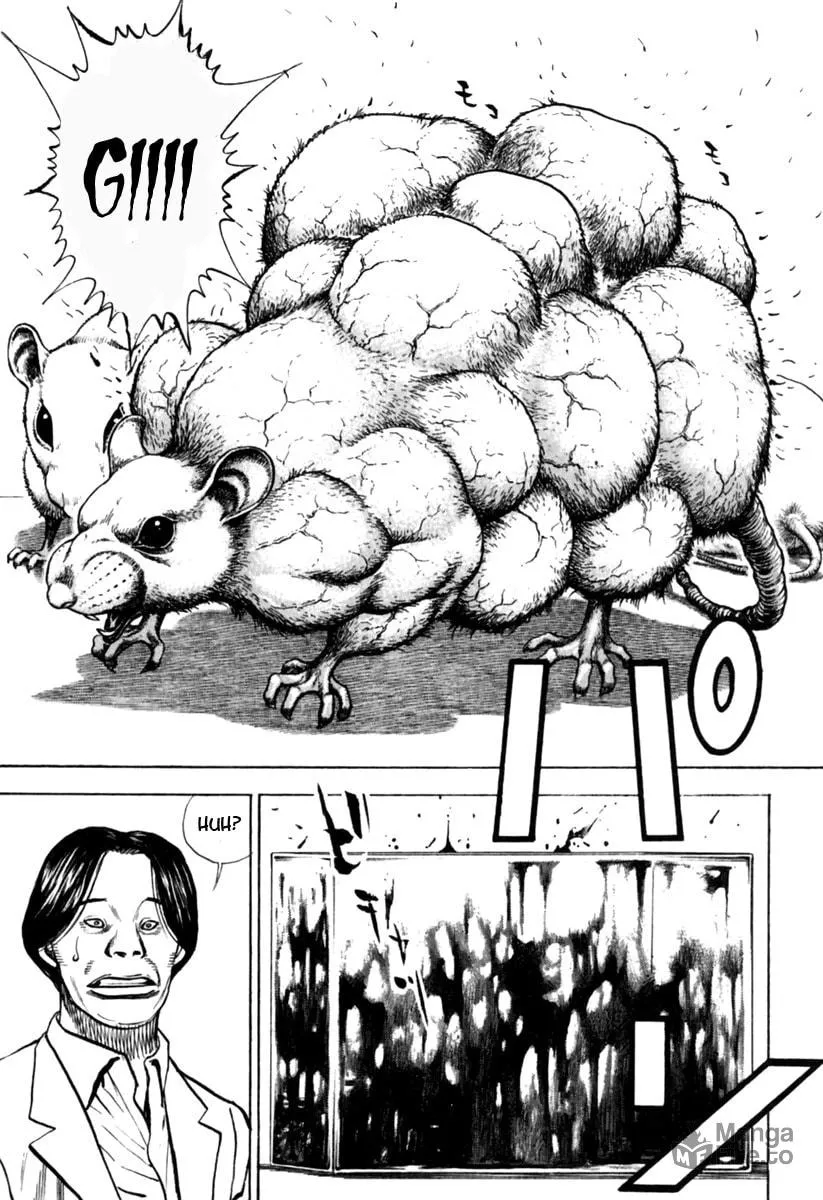 Read TOUGH chapter 155 image 9 on Lezhin