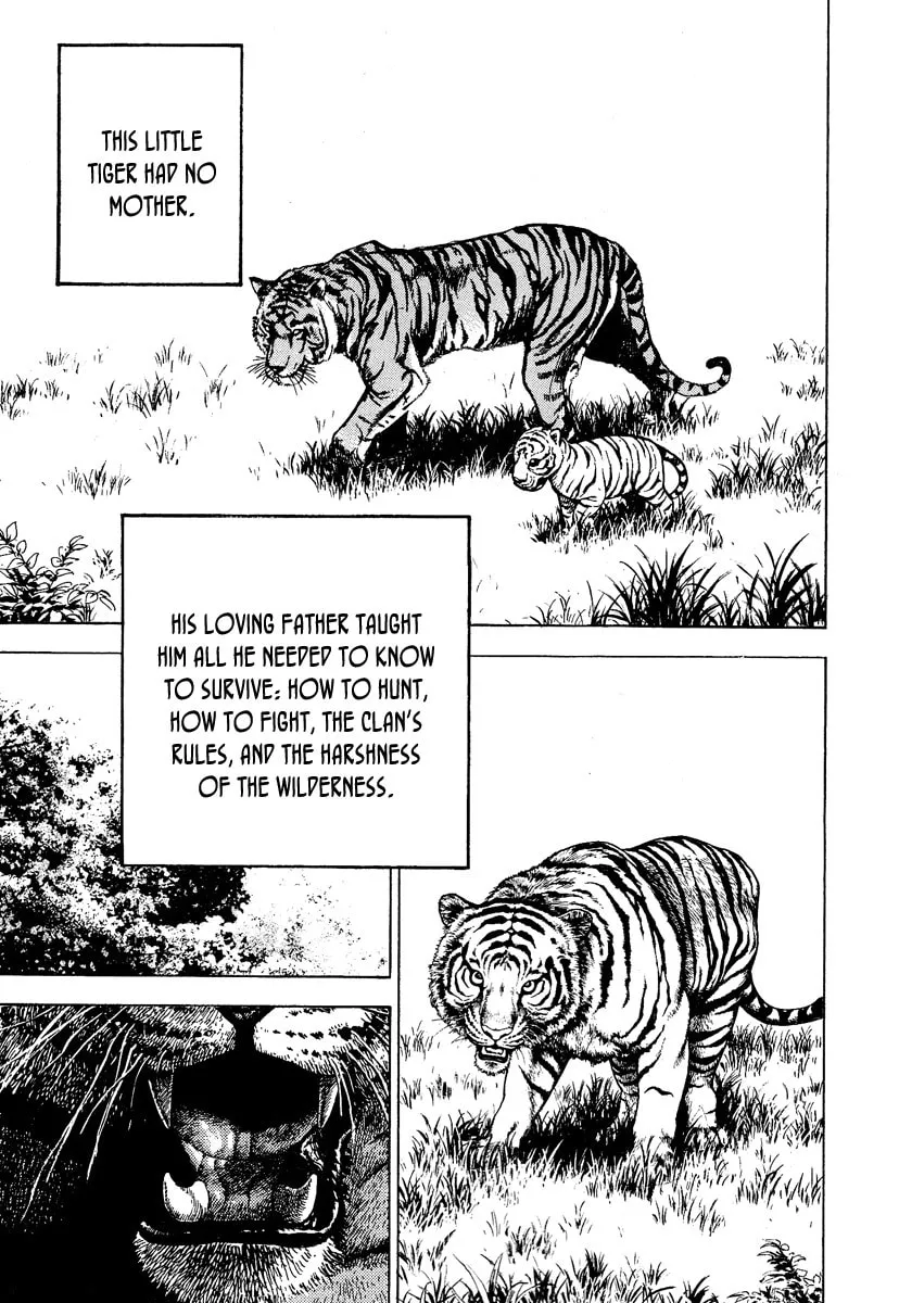 Read TOUGH chapter 217 image 3 on Lezhin