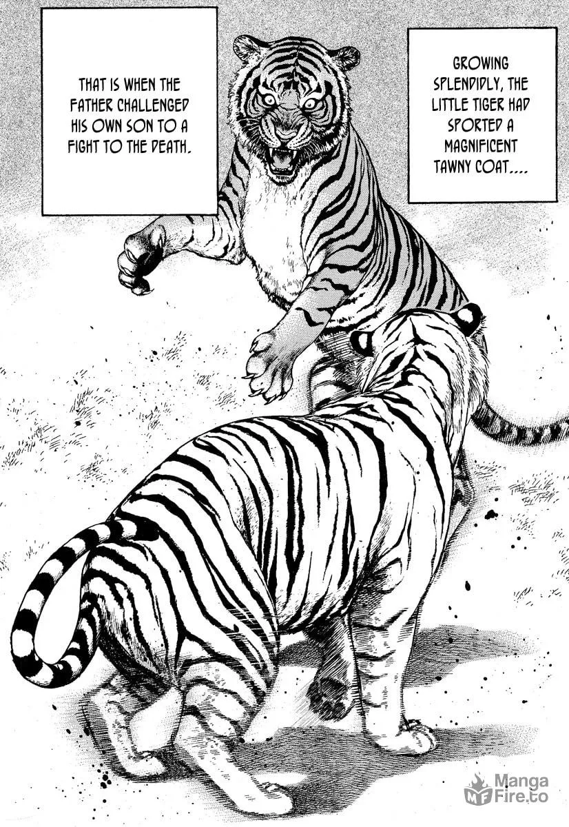 Read TOUGH chapter 217 image 4 on Lezhin