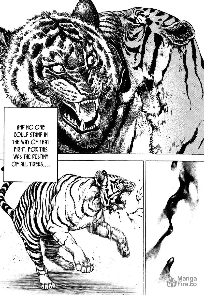 Read TOUGH chapter 217 image 5 on Lezhin