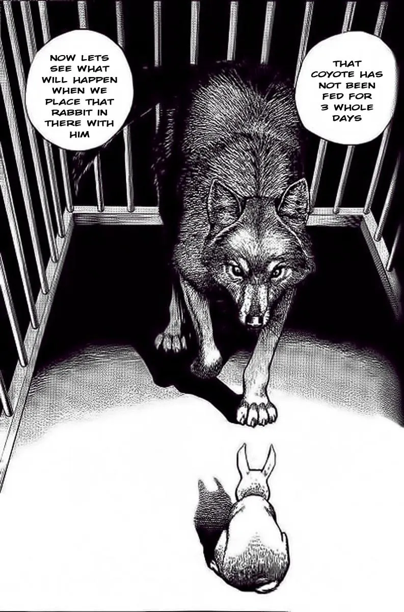 Read TOUGH chapter 234 image 10 on Lezhin