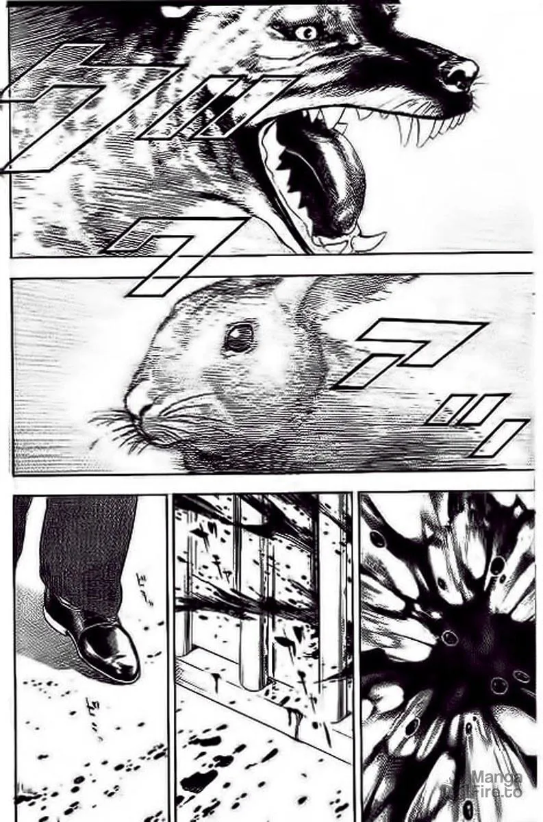 Read TOUGH chapter 234 image 11 on Lezhin