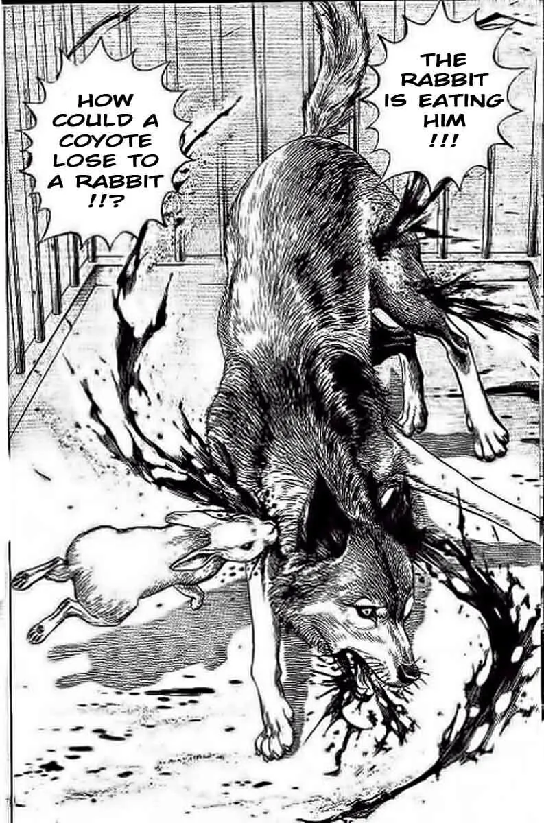 Read TOUGH chapter 234 image 13 on Lezhin