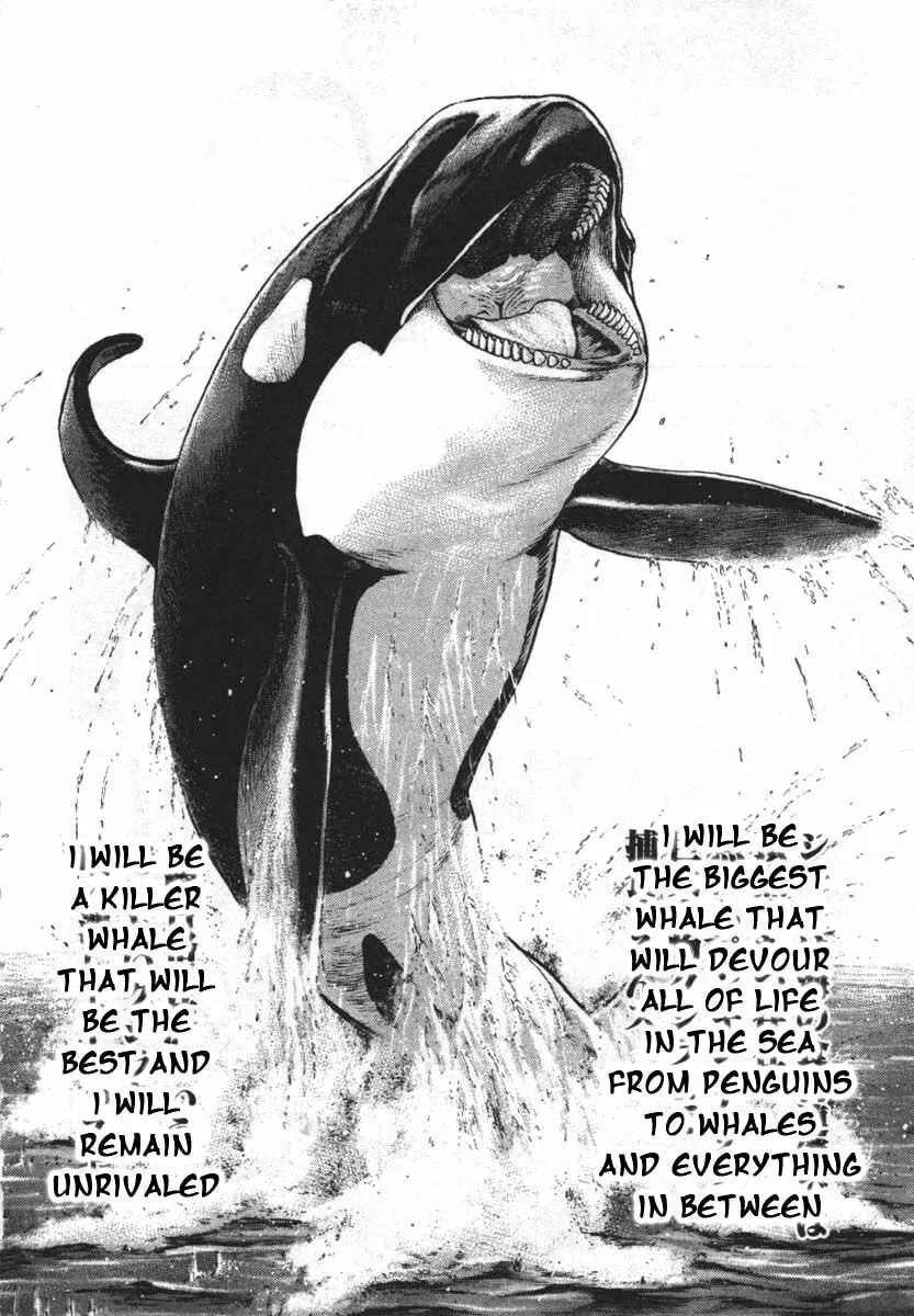 Read TOUGH chapter 285 image 15 on Lezhin