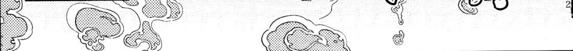 Read Touhou - Mugamubiru chapter 30.5 image 51 on Lezhin