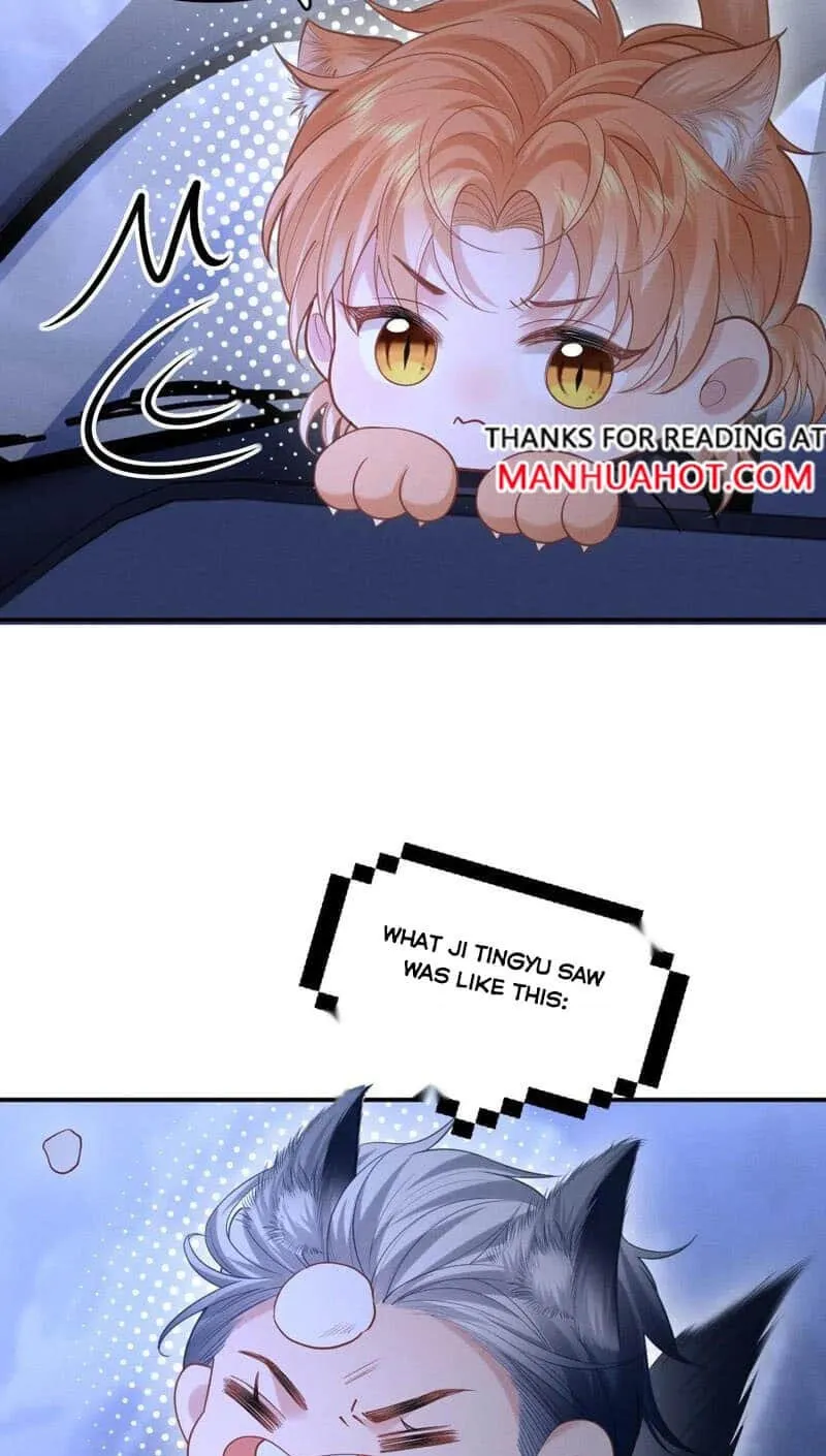 Read Toxic Adoration chapter 11.5 image 3 on Lezhin