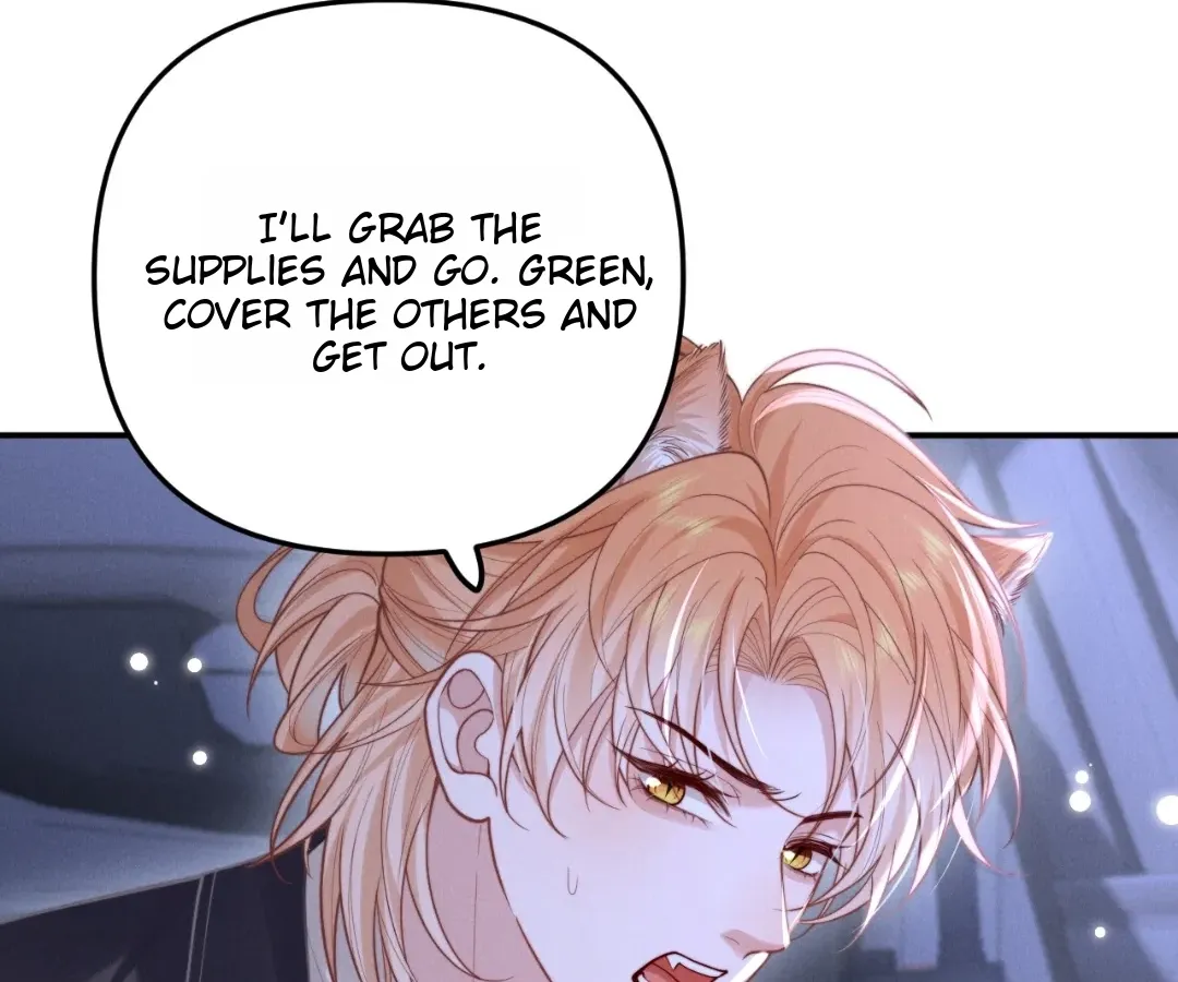 Read Toxic Adoration chapter 13 image 12 on Lezhin