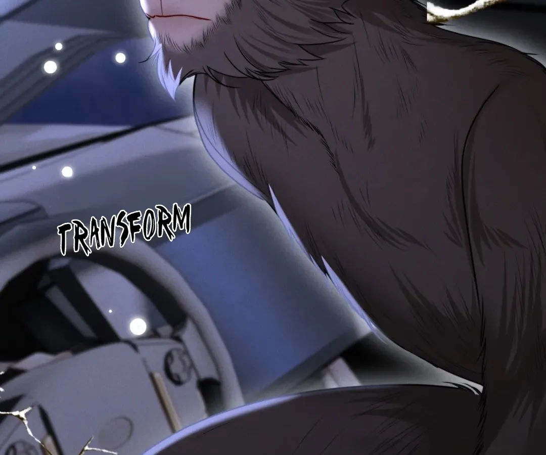 Read Toxic Adoration chapter 13 image 28 on Lezhin