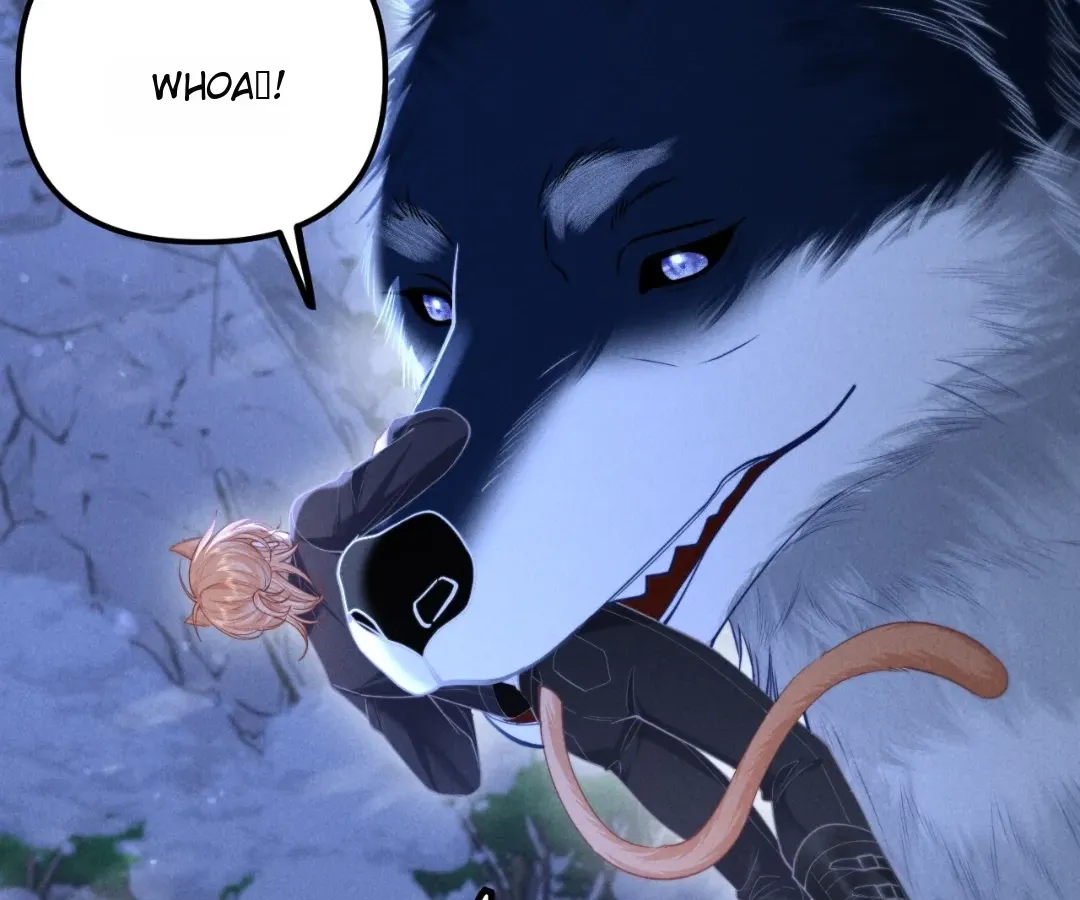Read Toxic Adoration chapter 15 image 14 on Lezhin