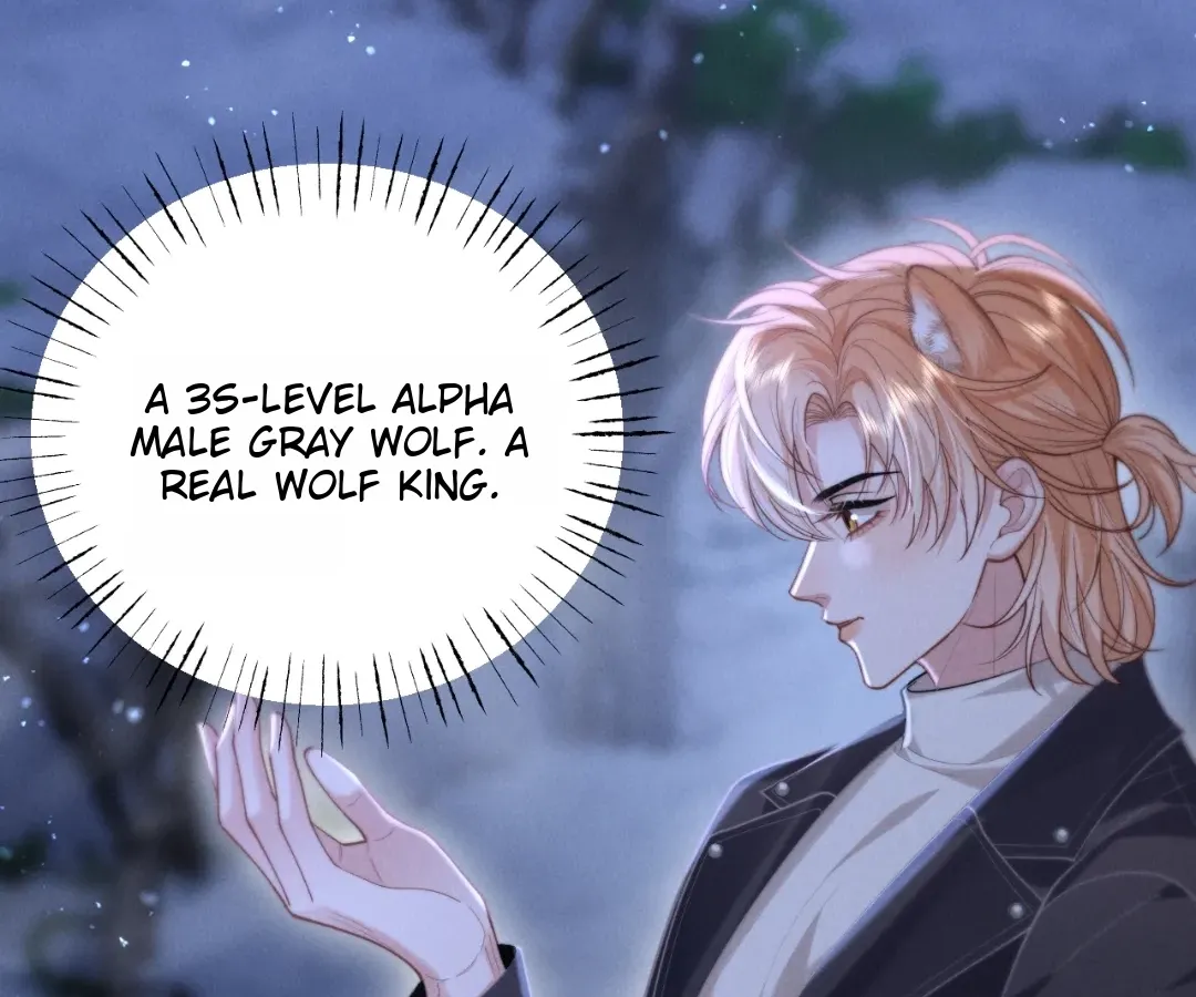 Read Toxic Adoration chapter 15 image 51 on Lezhin