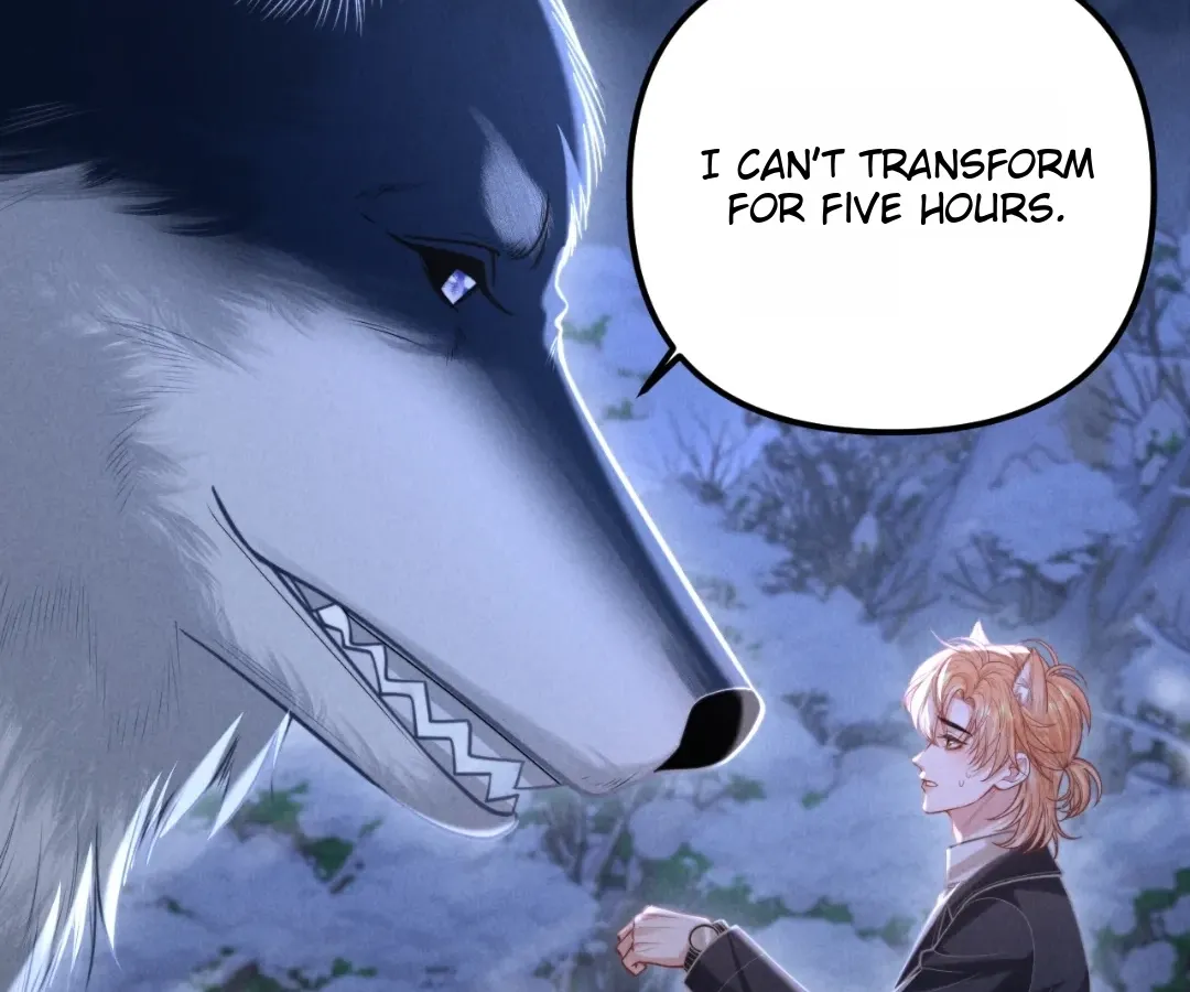 Read Toxic Adoration chapter 16 image 25 on Lezhin